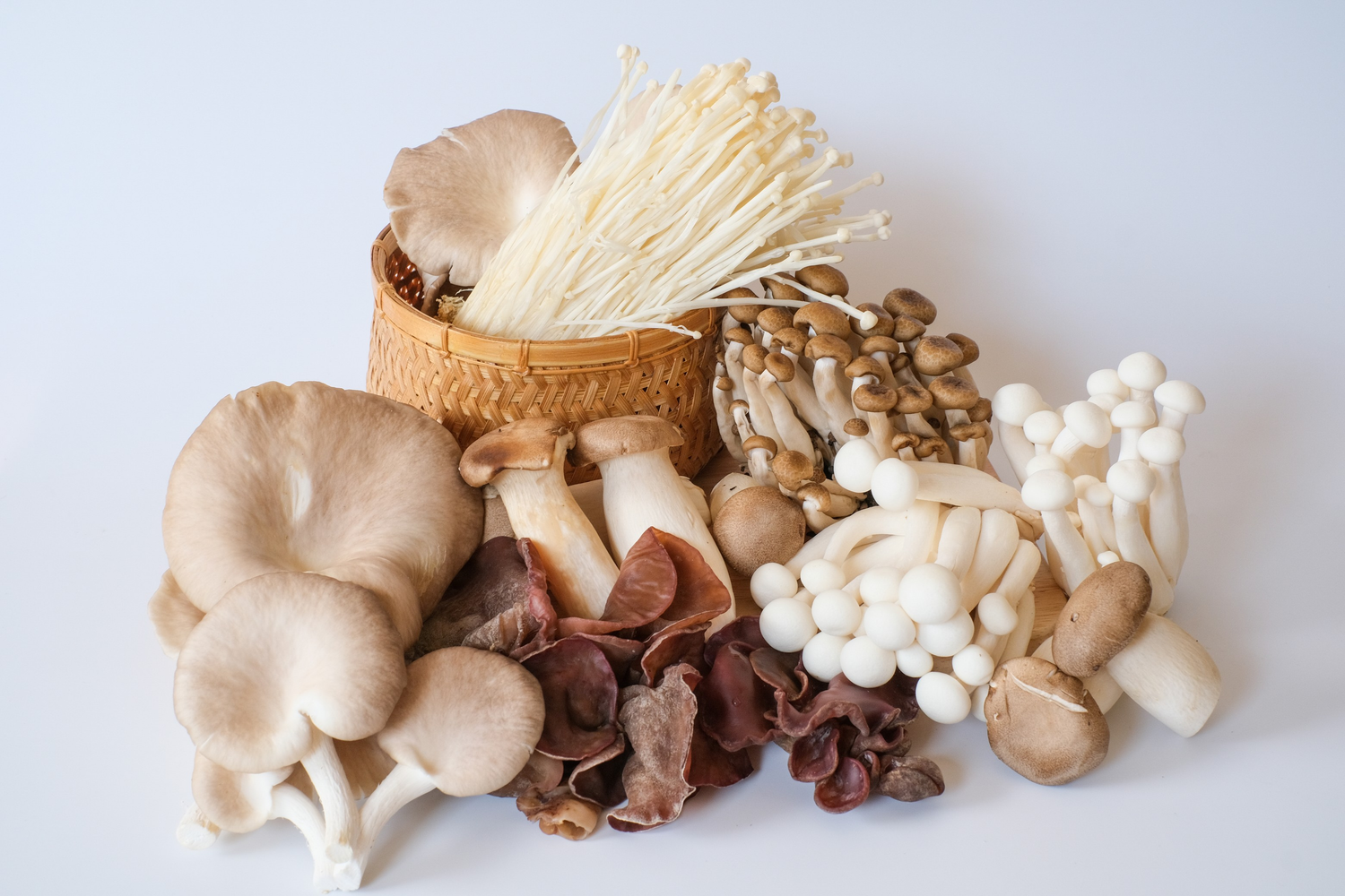 Medicinal Mushrooms